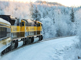 Anchorage new year train ride